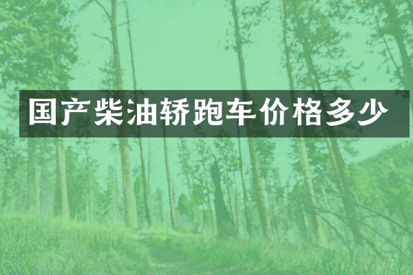 国产柴油轿跑车价格多少