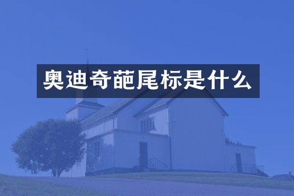 奥迪奇葩尾标是什么