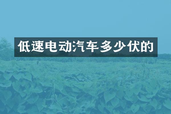低速电动汽车多少伏的