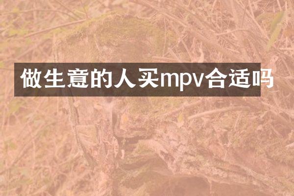 做生意的人买mpv合适吗