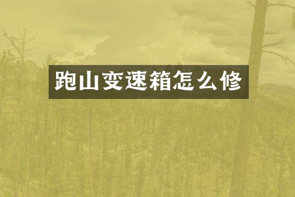 跑山变速箱怎么修
