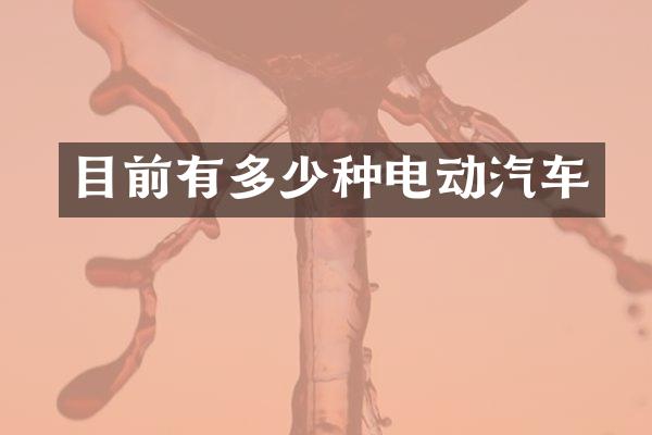 目前有多少种电动汽车