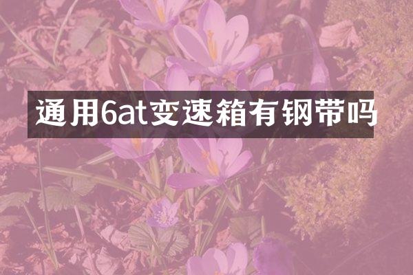 通用6at变速箱有钢带吗