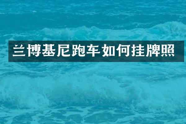 兰博基尼跑车如何挂牌照