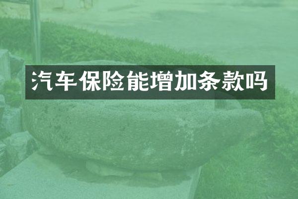 汽车保险能增加条款吗