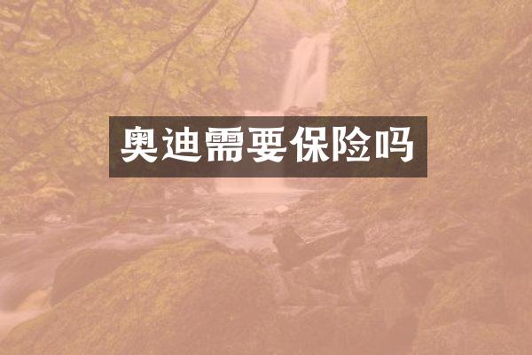 奥迪需要保险吗