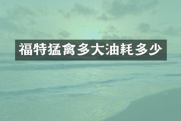 福特猛禽多大油耗多少