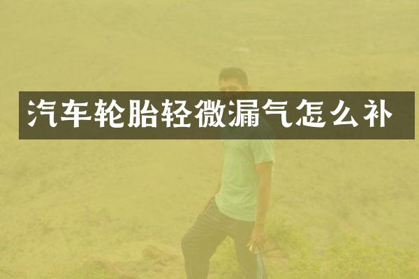 汽车轮胎轻微漏气怎么补