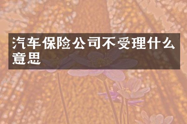 汽车保险公司不受理什么意思