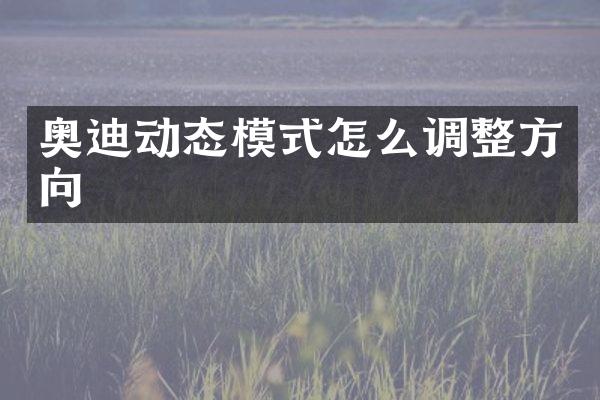 奥迪动态模式怎么调整方向