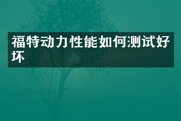 福特动力性能如何测试好坏