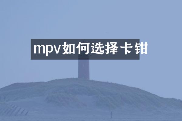mpv如何选择卡钳