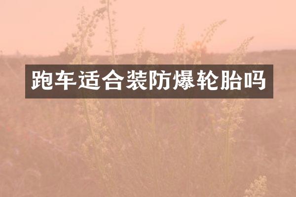 跑车适合装防爆轮胎吗