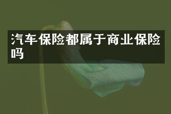 汽车保险都属于商业保险吗