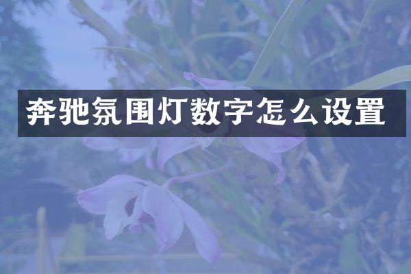 奔驰氛围灯数字怎么设置