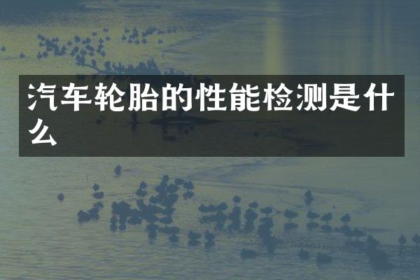 汽车轮胎的性能检测是什么