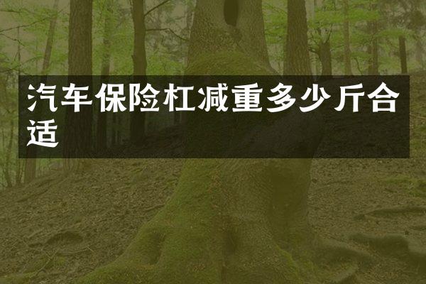 汽车保险杠减重多少斤合适