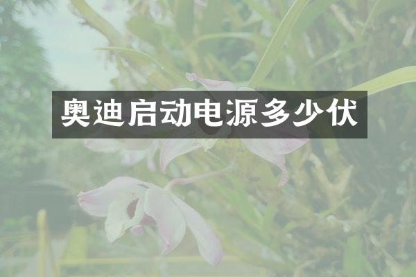 奥迪启动电源多少伏