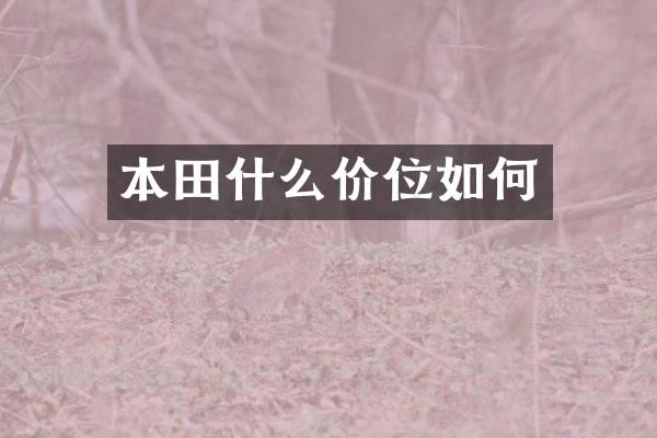 本田什么价位如何