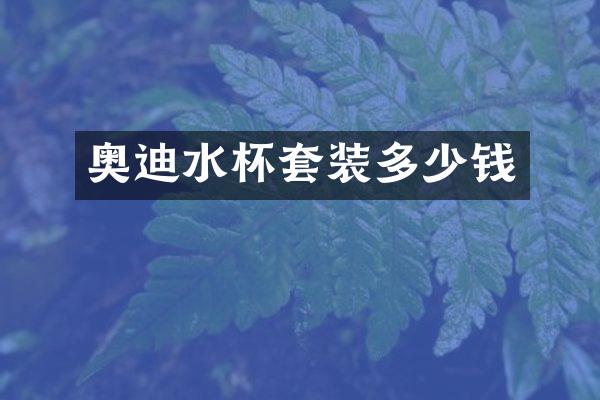 奥迪水杯套装多少钱