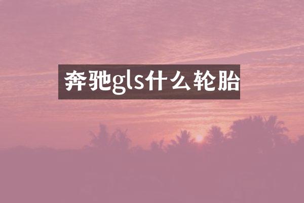 奔驰gls什么轮胎