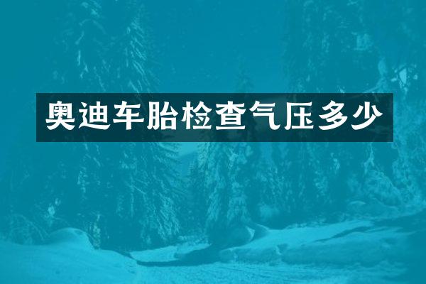 奥迪车胎检查气压多少