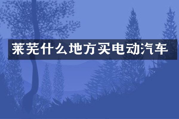 莱芜什么地方买电动汽车