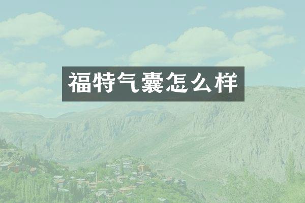 福特气囊怎么样