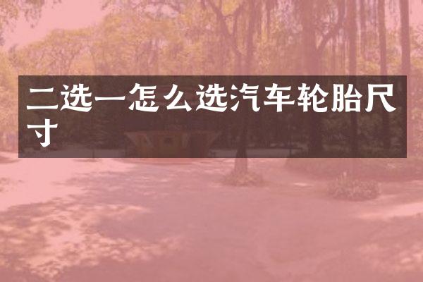 二选一怎么选汽车轮胎尺寸