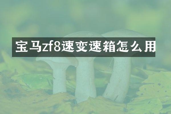 宝马zf8速变速箱怎么用