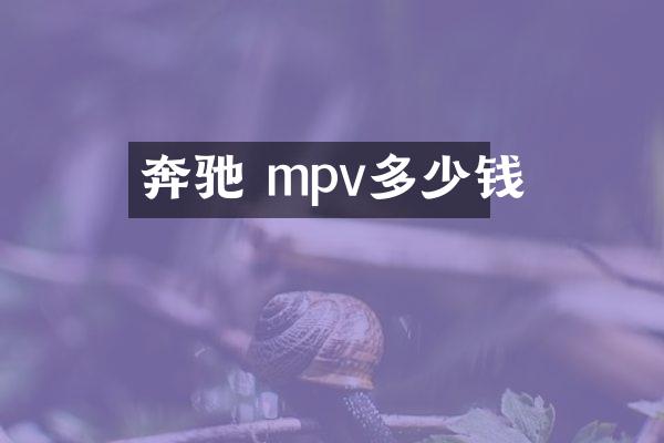 奔驰 mpv多少钱