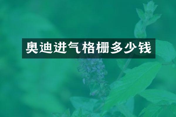 奥迪进气格栅多少钱