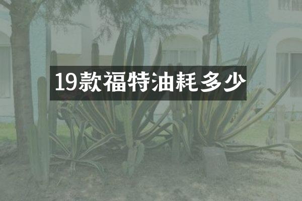 19款福特油耗多少