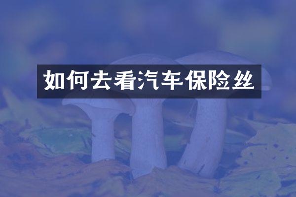 如何去看汽车保险丝