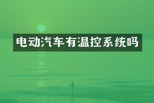 电动汽车有温控系统吗