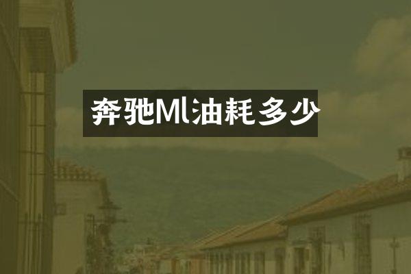 奔驰Ml油耗多少