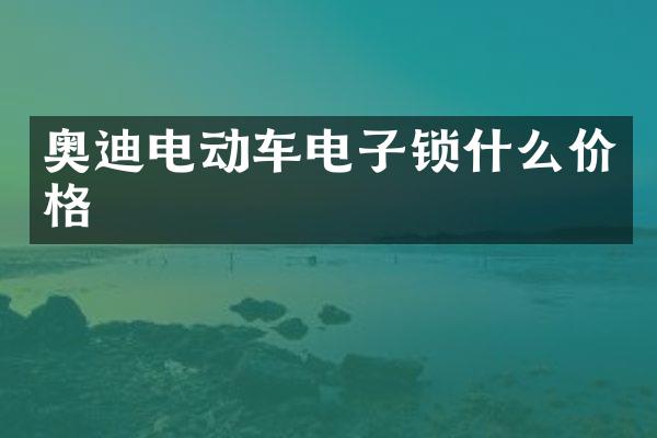 奥迪电动车电子锁什么价格