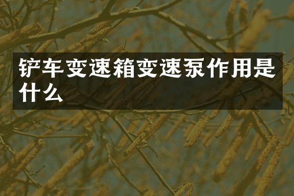 铲车变速箱变速泵作用是什么