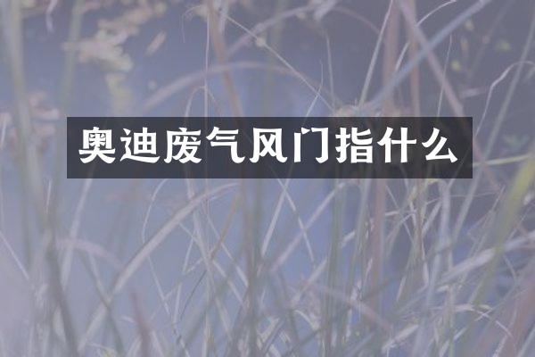 奥迪废气风门指什么