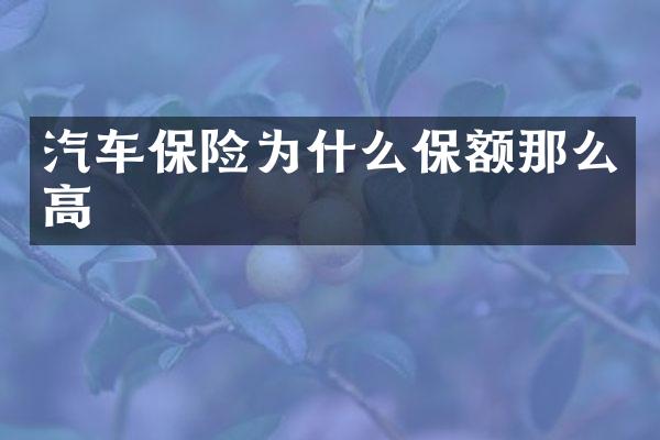 汽车保险为什么保额那么高