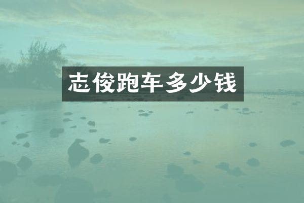 志俊跑车多少钱