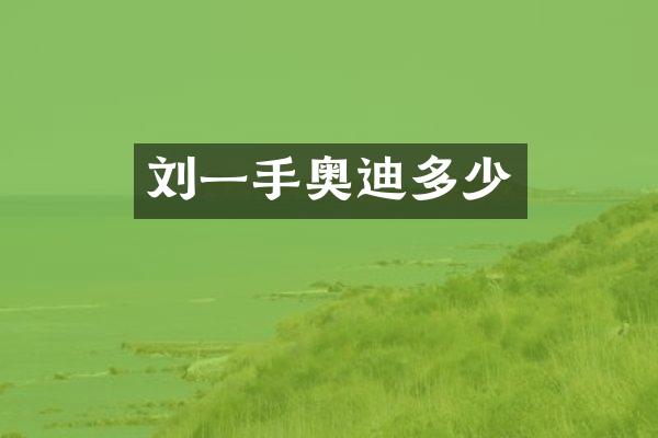 刘一手奥迪多少