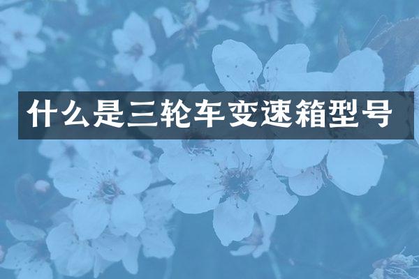 什么是三轮车变速箱型号