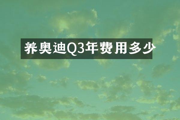 养奥迪Q3年费用多少