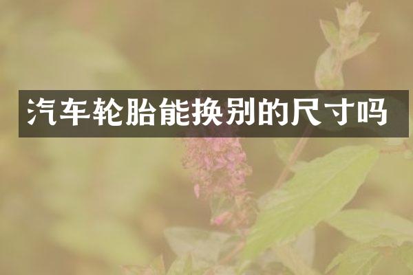 汽车轮胎能换别的尺寸吗
