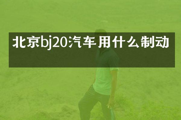北京bj20汽车用什么制动液