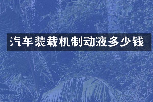 汽车装载机制动液多少钱