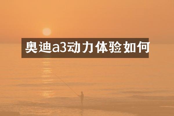 奥迪a3动力体验如何