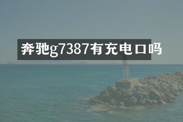 奔驰g7387有充电口吗