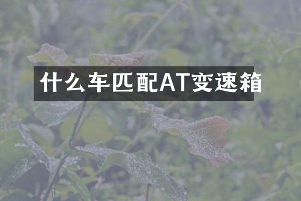 什么车匹配AT变速箱